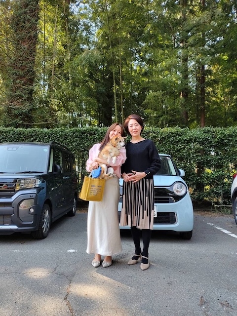 画像の説明 画像の説明